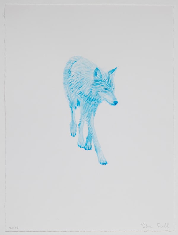 Steve Snell, Neon Wolf Study