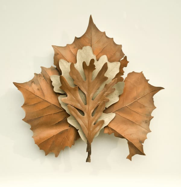 Ron Isaacs, Oakoaksycamore, 2023