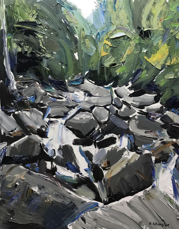 David Shingler, Turtleback Falls. NC