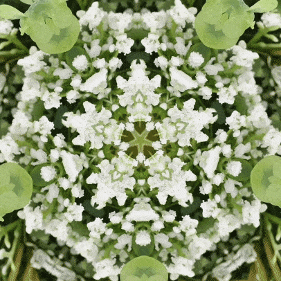 Tim Tate, Lenticular XVIII
