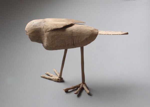 Robert Bender - Bird Man