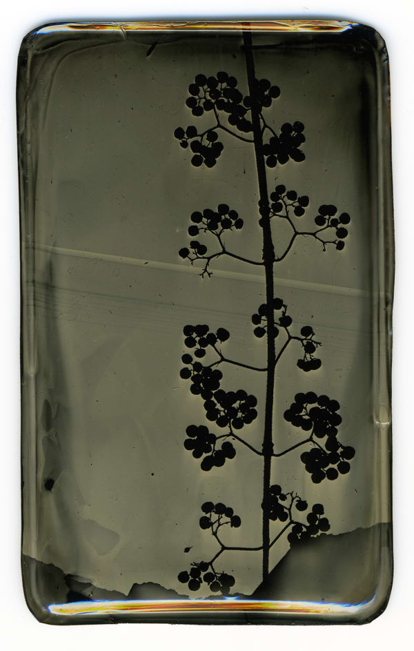 Heather F. Wetzel, Salvage: Constructed Landscape No.44