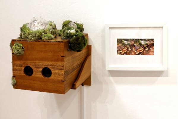 Amy Gross, Insula Islets stereoscope
