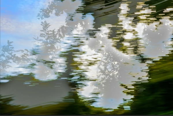 Sandy Rothberg, Untitled 22