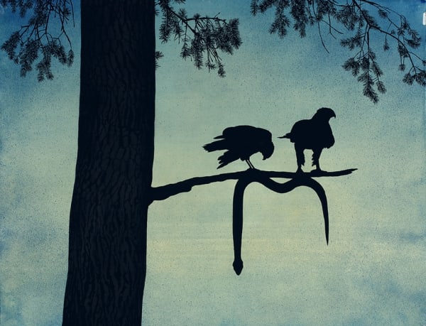 Casey Roberts, Two hawks with snake