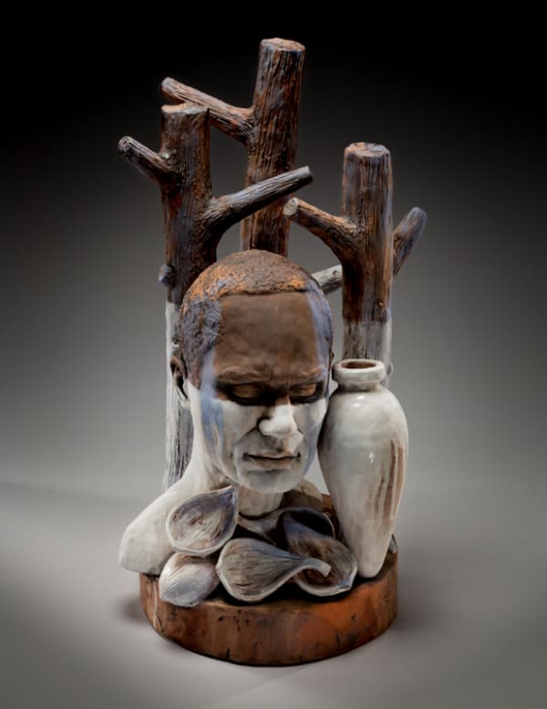 David C. Robinson, Whitewashing