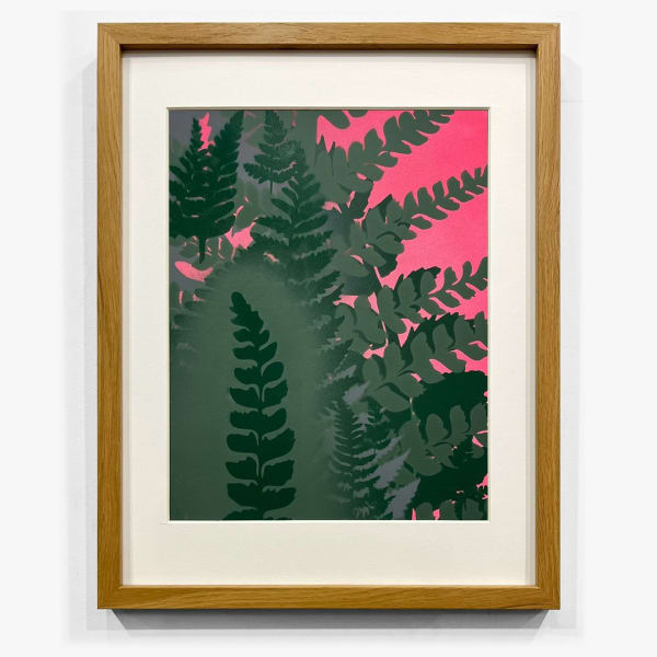 Steven L. Anderson, Pteridomania #7