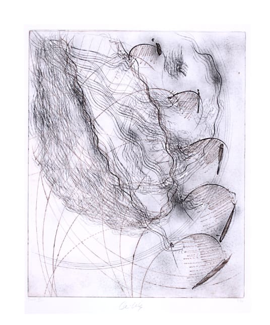 Dale Chihuly, Print VI , 8/25