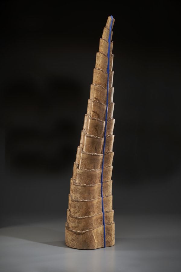 David Ellsworth, Line Ascending #14