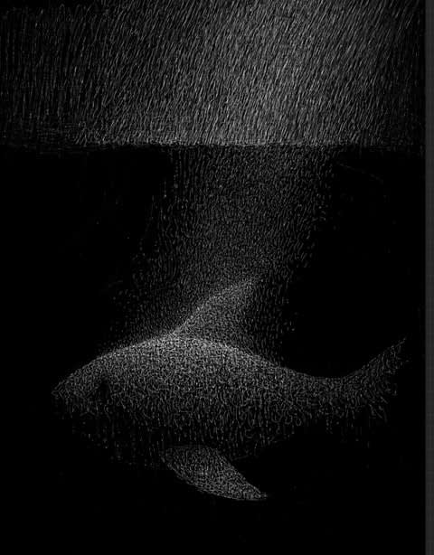 John Paul Vincent, Night Fish