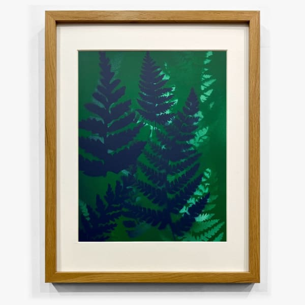 Steven L. Anderson, Pteridomania #9