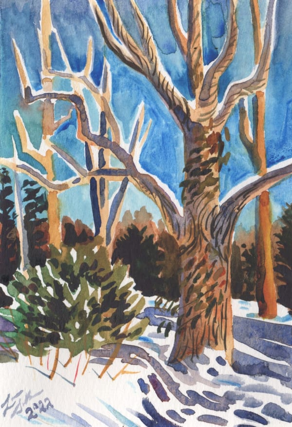 Laura Sellers, East Asheville Snow I, 2022