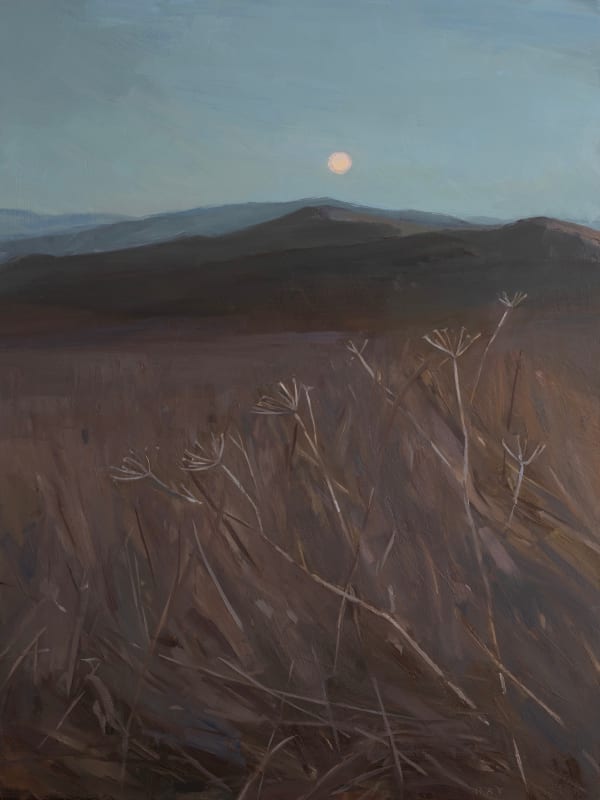 Danna Ray - Angelica