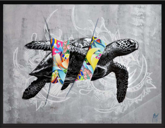 Amaury Dubois, Turtle