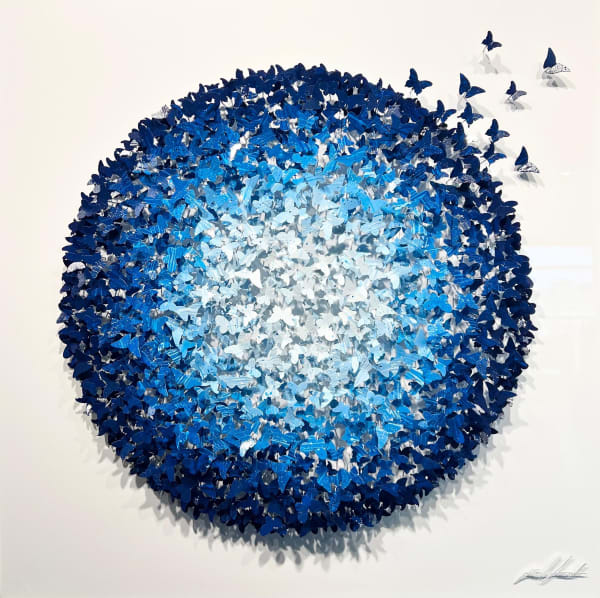 Joel Amit - Joel Amit - Circle Blue