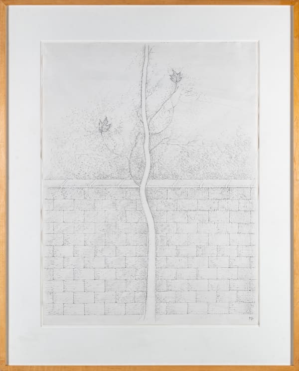 Gregory Masurovsky, Sans titre (Arbre mur), 1974