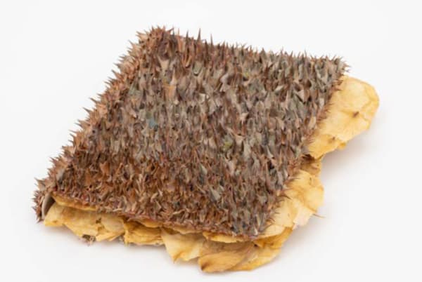 Rachel Marks, DIARY IV, 2024