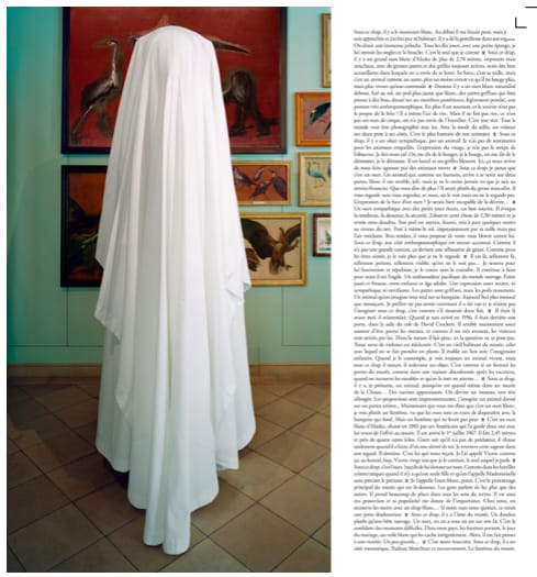 Sophie Calle, L'Ours, 2017