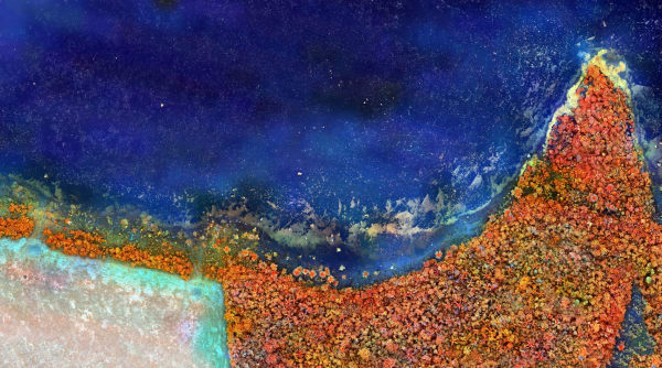 Richard Mosse, Submerged Forest, Rondônia, 2020