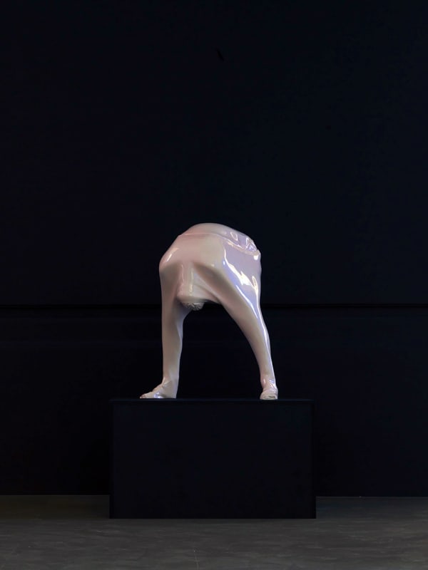 Erwin Wurm, Psycho, 2009