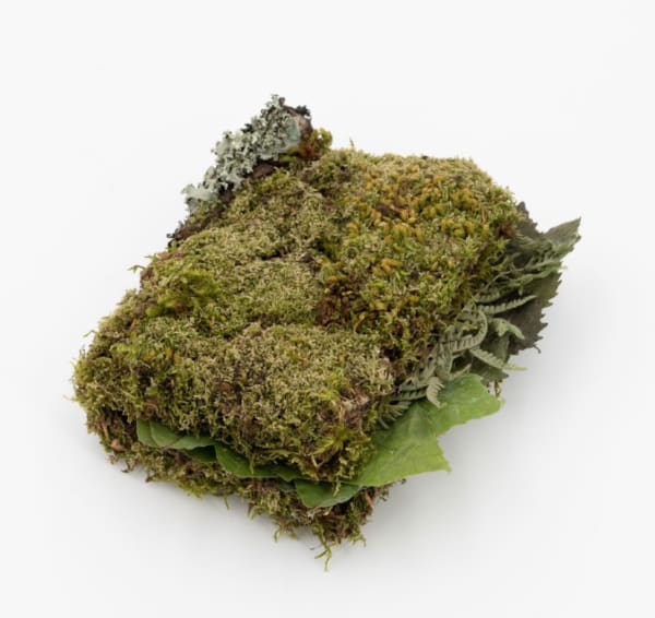 Rachel Marks, DIARY III, 2024