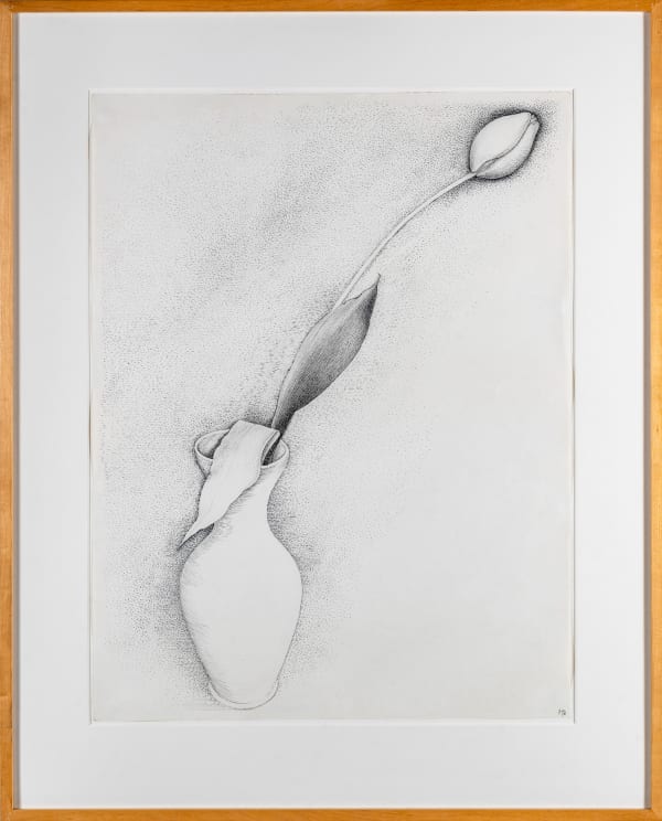 Gregory Masurovsky, Sans titre (Tulipe fleur), 1980
