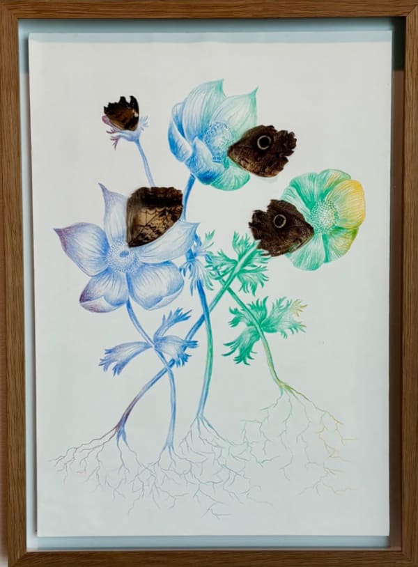 Rachel Marks, HYBRID II, 2024