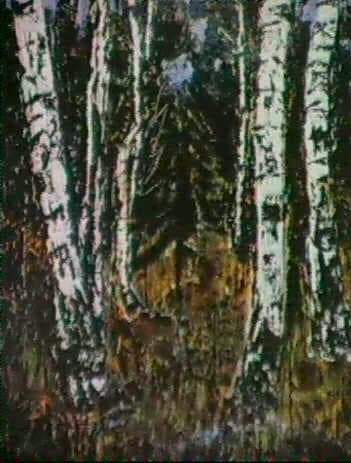 Anselm Kiefer, Markische Heide, 1973