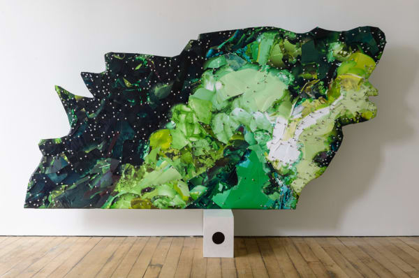 Selena Kimball, Mapping Night Vision #1, 2015