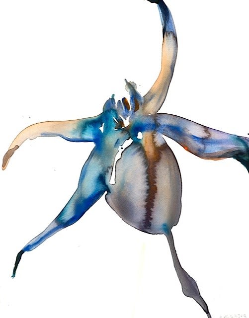 Kim McCarty, Blue Rose Hip, 2012