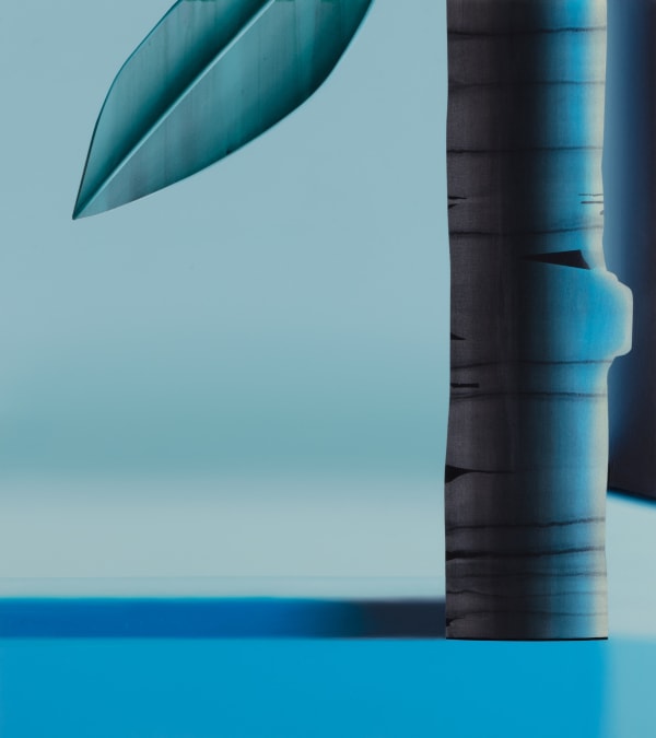 Anna Membrino, Turf, 2020