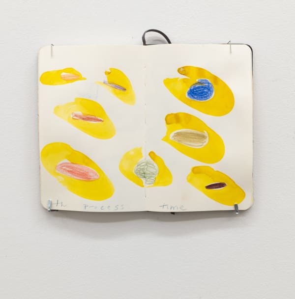 Austin Thomas, Started on the bus (Black Moleskine), 2024