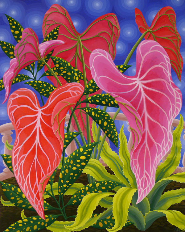 Amy Lincoln, Pink Caladium, 2016