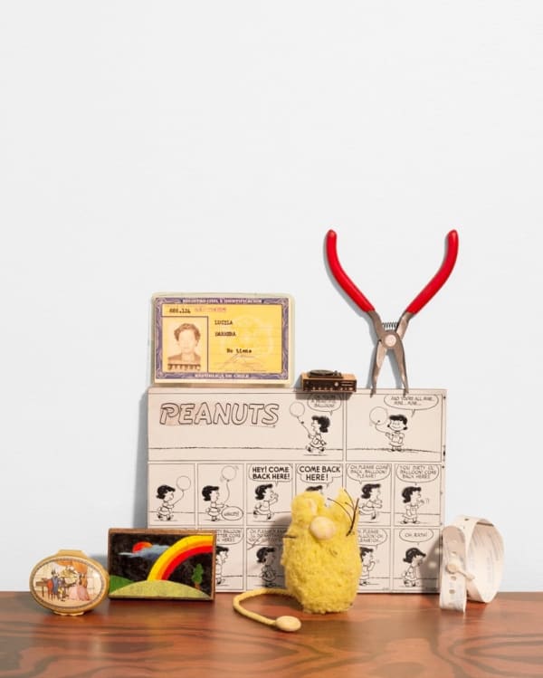 Elisabeth Smolarz, Untitled, 2016