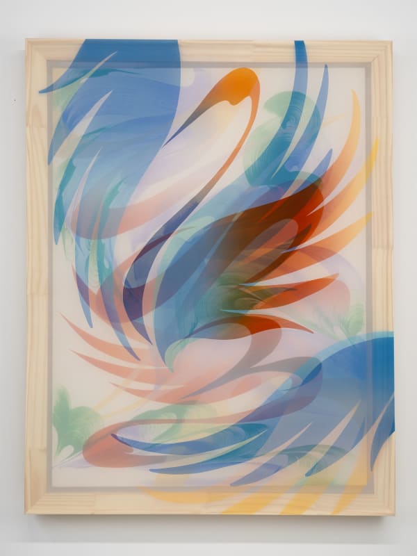 Haoyun Erin Zhao, Afterimage, 2025