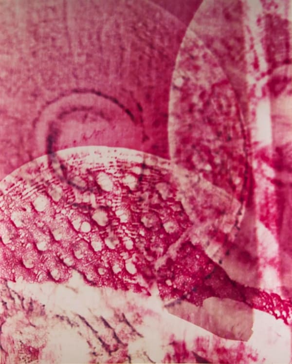 Twenty by Sixteen 2015, Farrah Karapetian, Cymbalscape VI, 2015