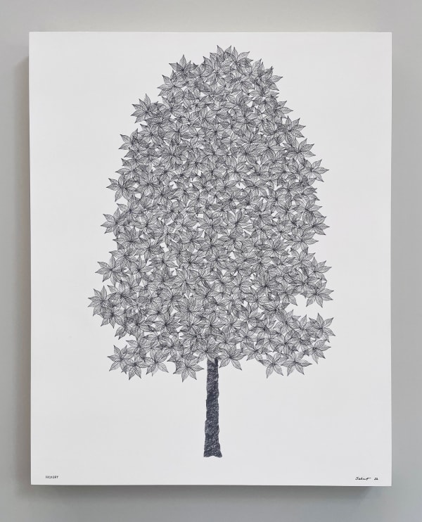 John Salvest, Hickory, 2022