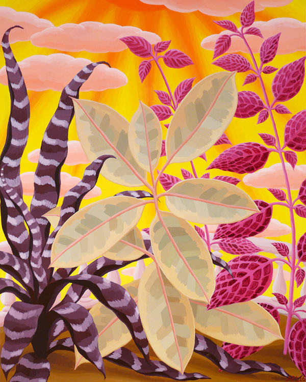 Amy Lincoln, Variegated Rubber Plant, 2016