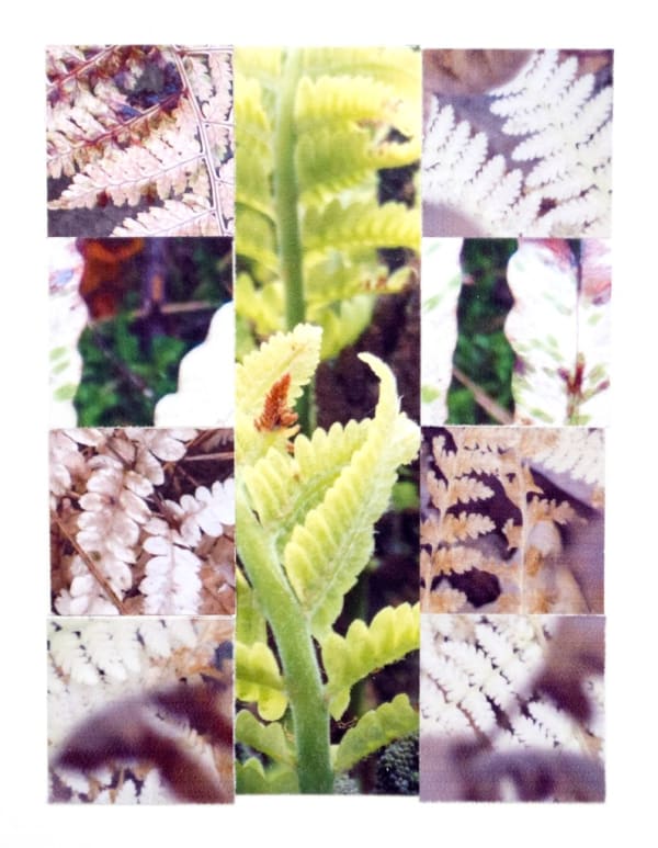 Katia Santibañez, Symphony IX, 2014