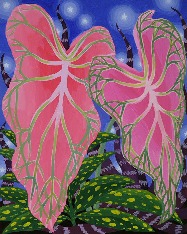 Amy Lincoln, Caladium Study, 2016
