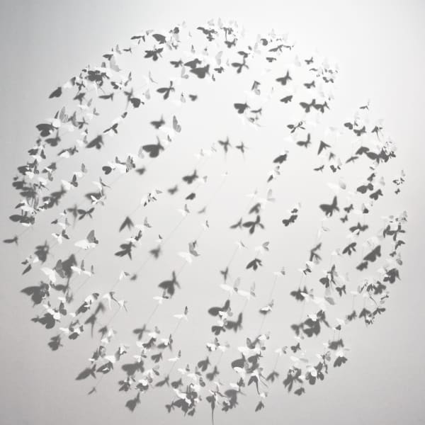 Paul Villinski - Install, Ghost Installation, 2014