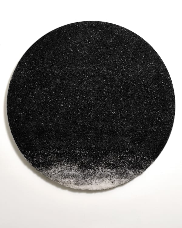 Rachelle Reichert, Wildfire, 2024