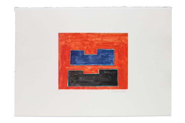 Steuart Pittman, Monotype 9, 2024