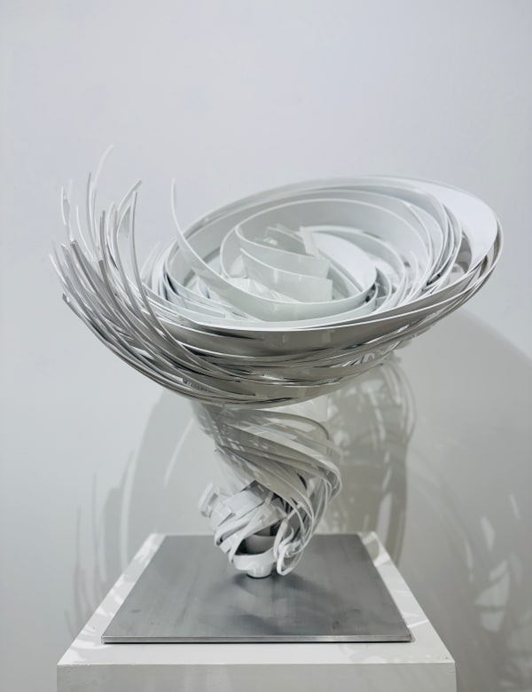 Alice-Aycock-Morrison-Gallery-Small-Twist