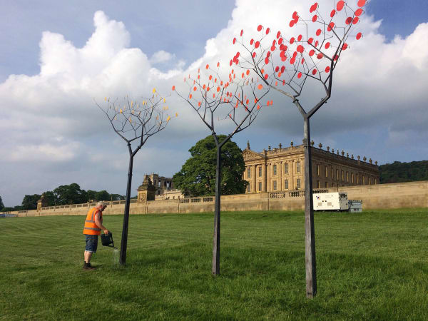 Martin Smith, Kinetic Installation at the Arboretum