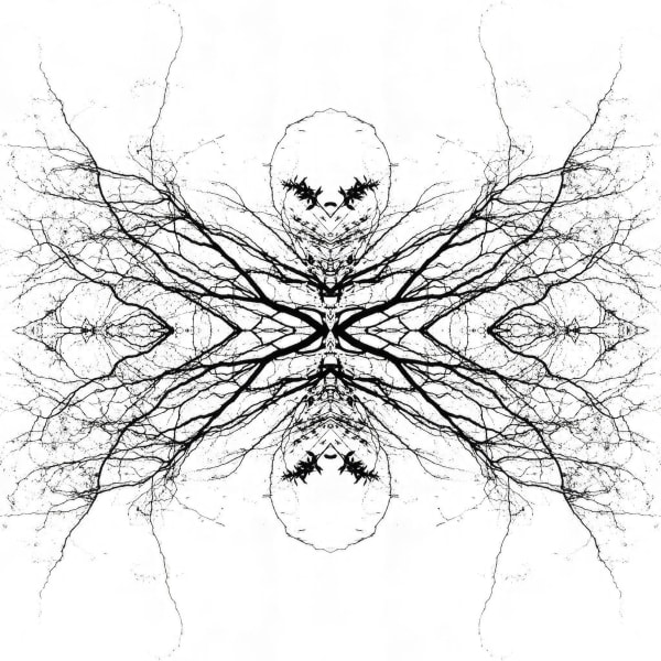 Teresa Cruz Elton, Dark series Nro 342, 2022