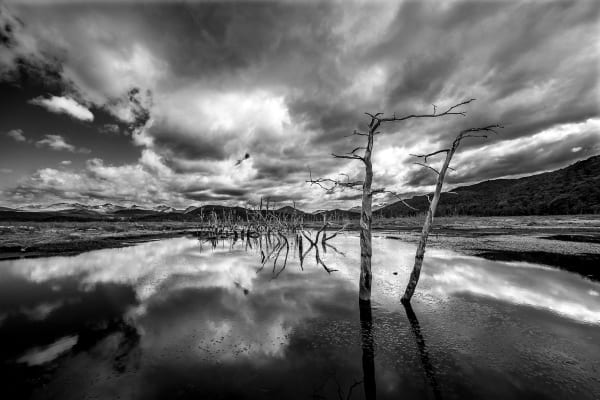 Pablo O'ryan, ALMA_pablotriste-192-70x100cm, 2022