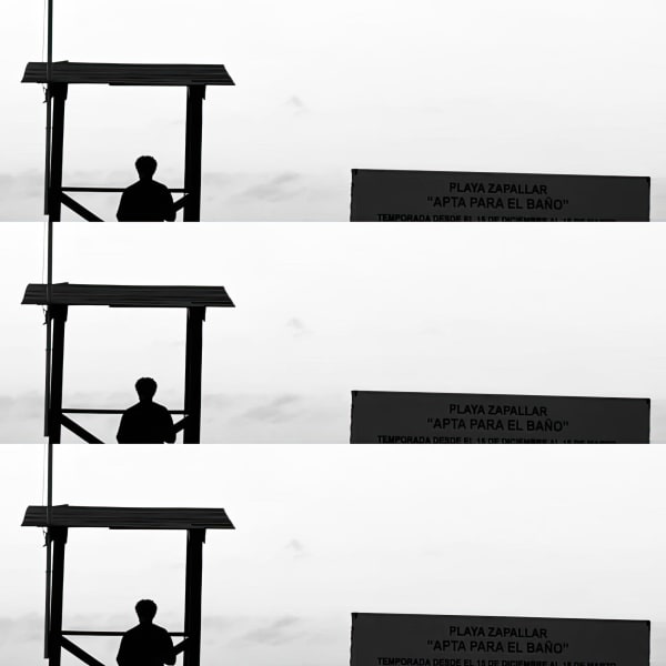 Teresa Cruz Elton, Dark series Nro 342, 2022