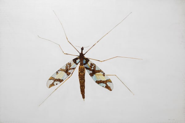 Rodrigo Fabri, Insects, 2009