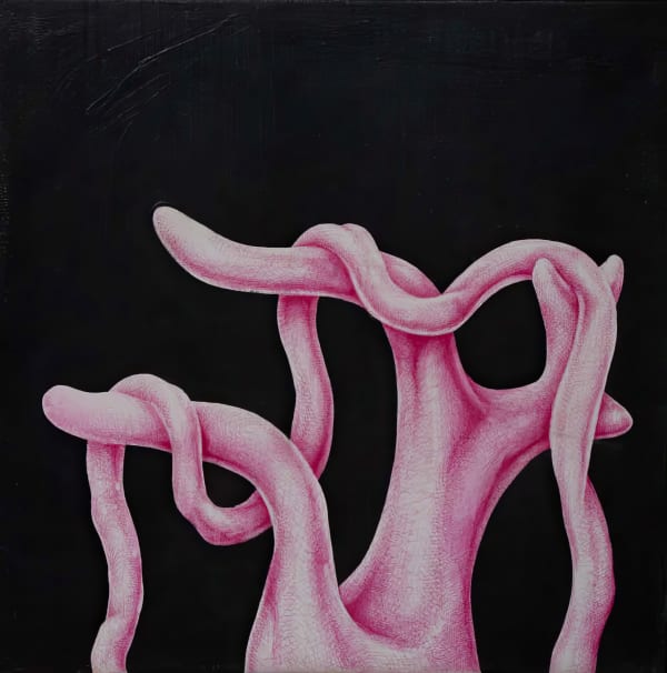 Santiago Errázuriz, CALMA, 2019